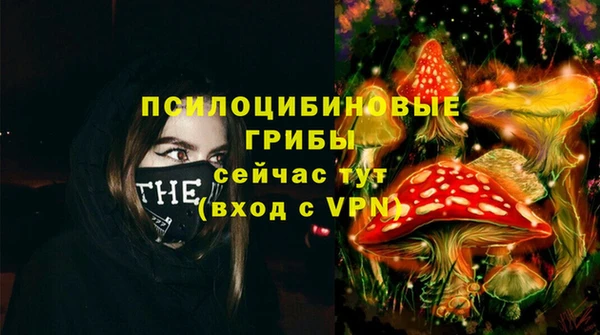 тгк Аркадак